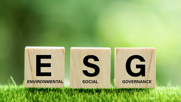 Starting your ESG investment journey? Here’s how to go about it