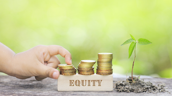 All about equity savings funds